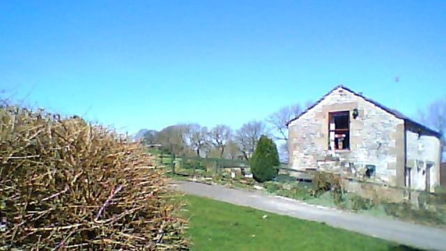 Photo 12