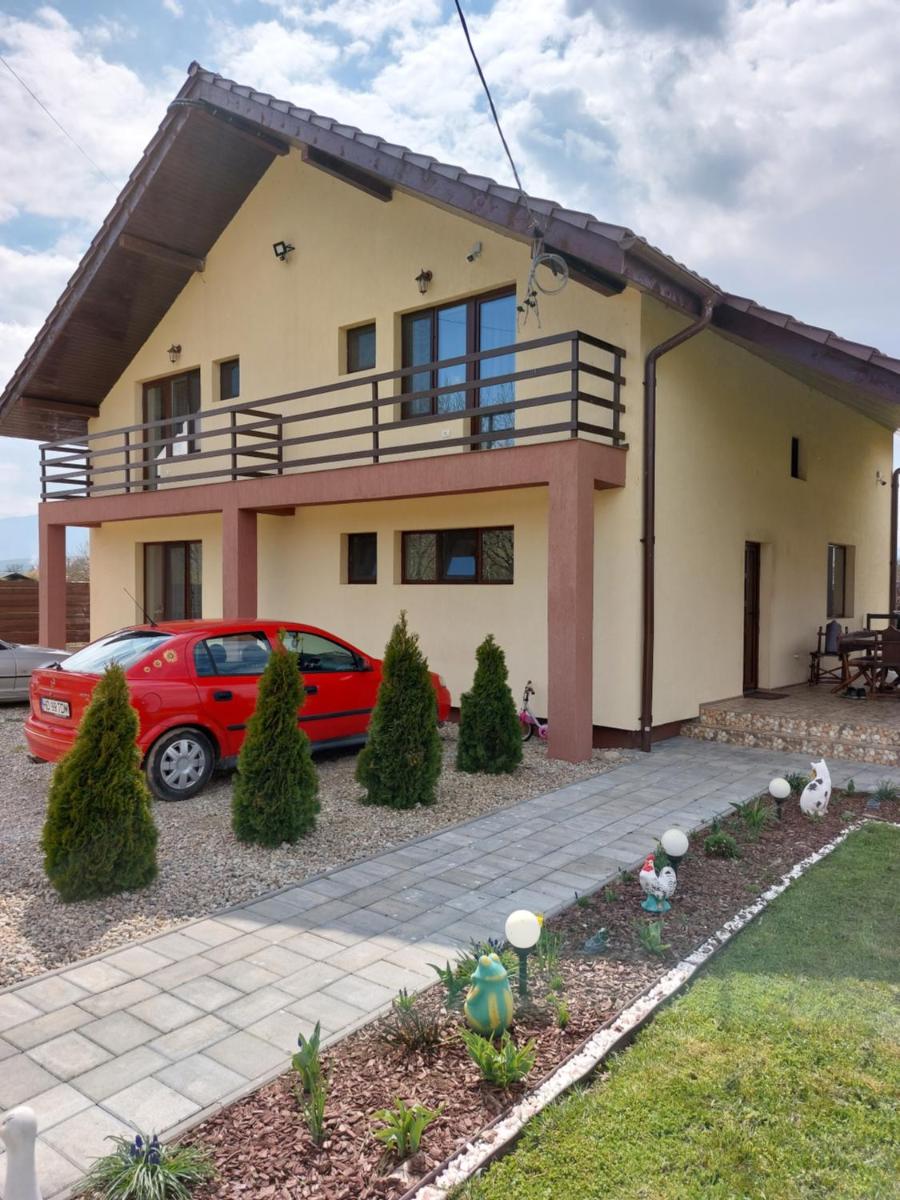 Pensiunea Daria, photo 32