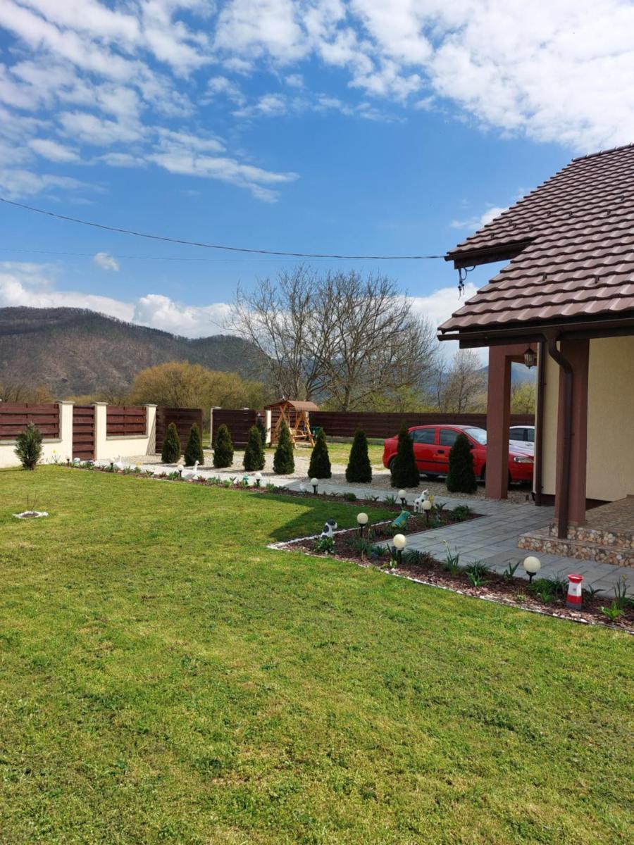 Pensiunea Daria, photo 35