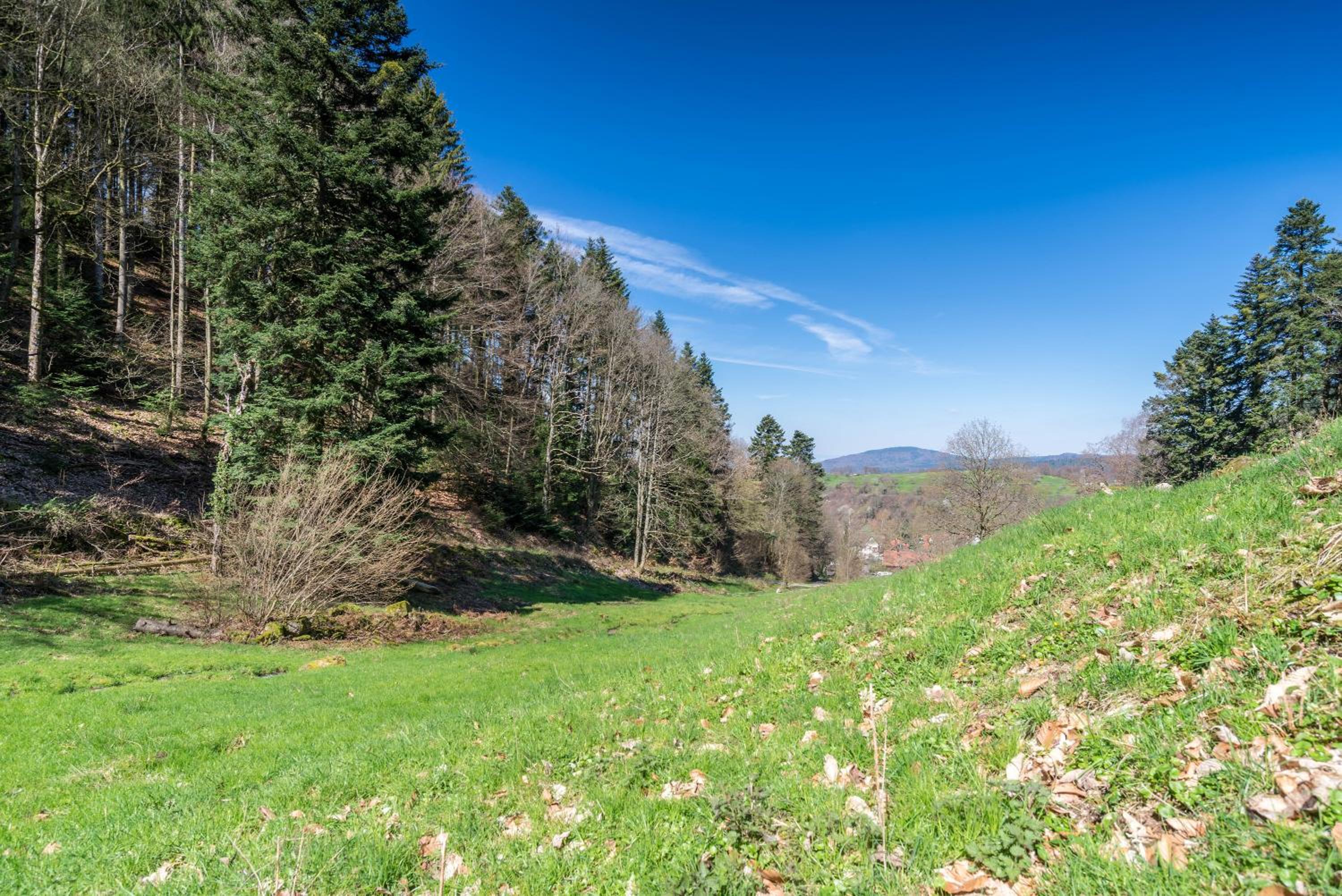 Ferienwohnung Gernsbach view 5