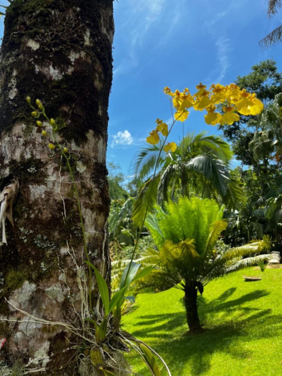 Pousada Bromélias