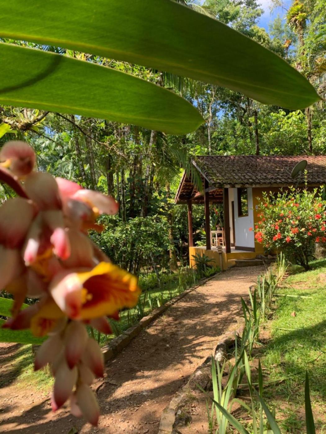 Pousada Bromélias