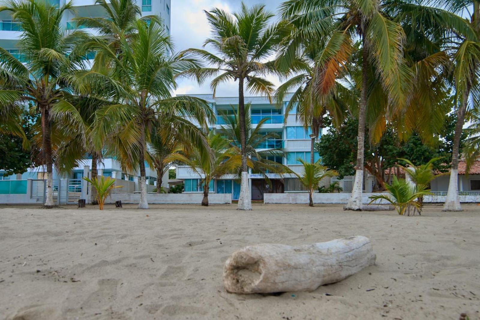 Hermoso Apartamento Frente al Mar 2 Habitaciones C13B