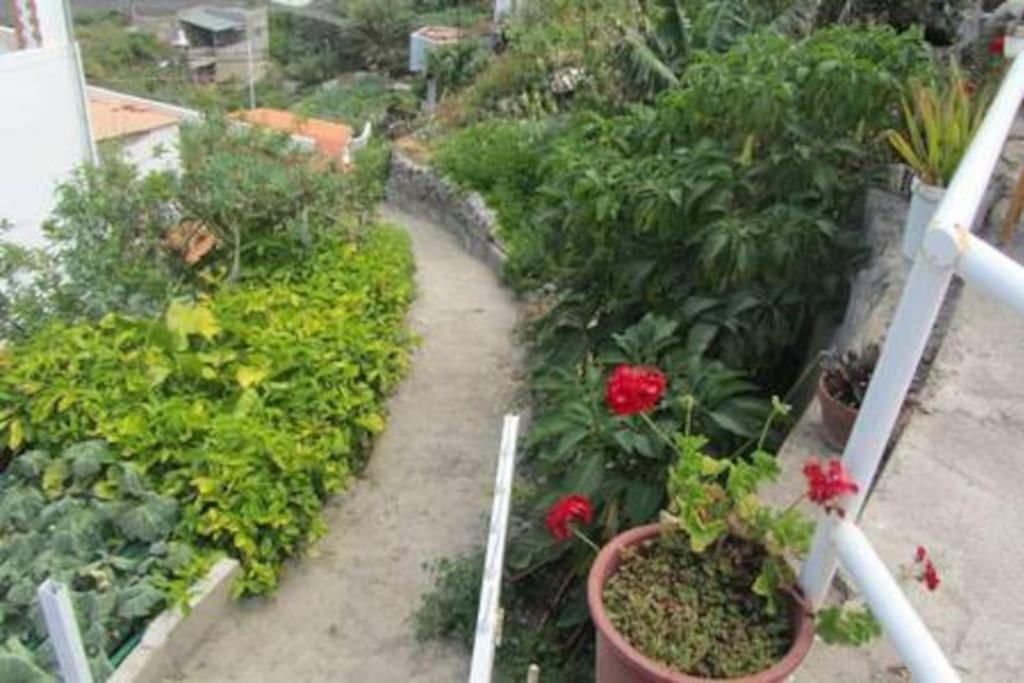 House Rural,Biosphere Reserve World.Taganana.Tfe.