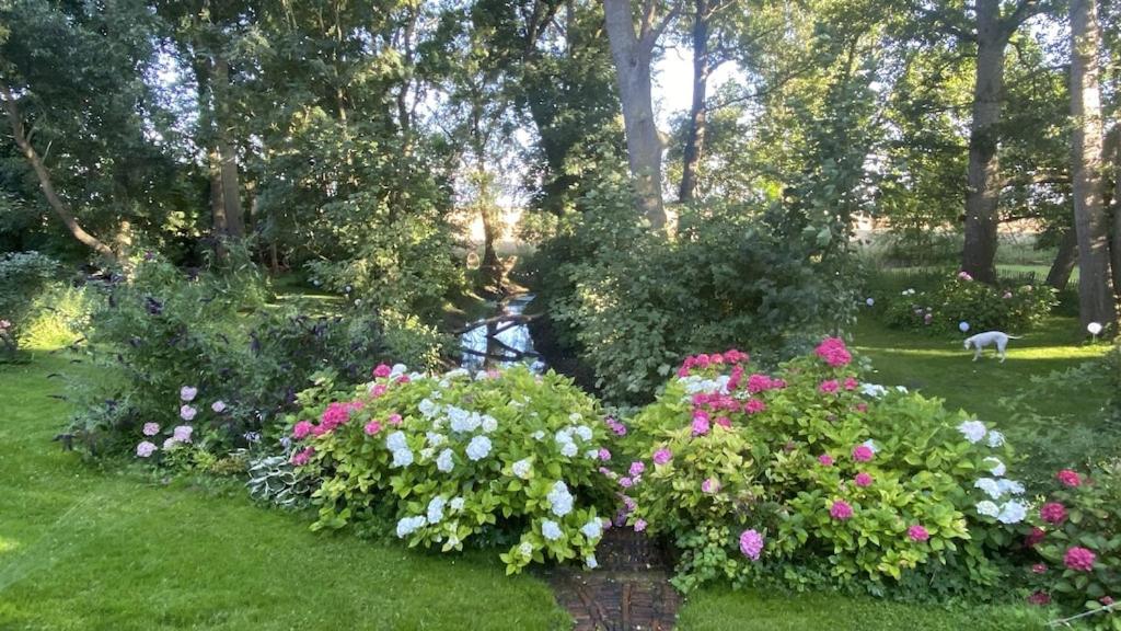Reetdachhaus Warft Simmerdeis - Maisonettewohnung