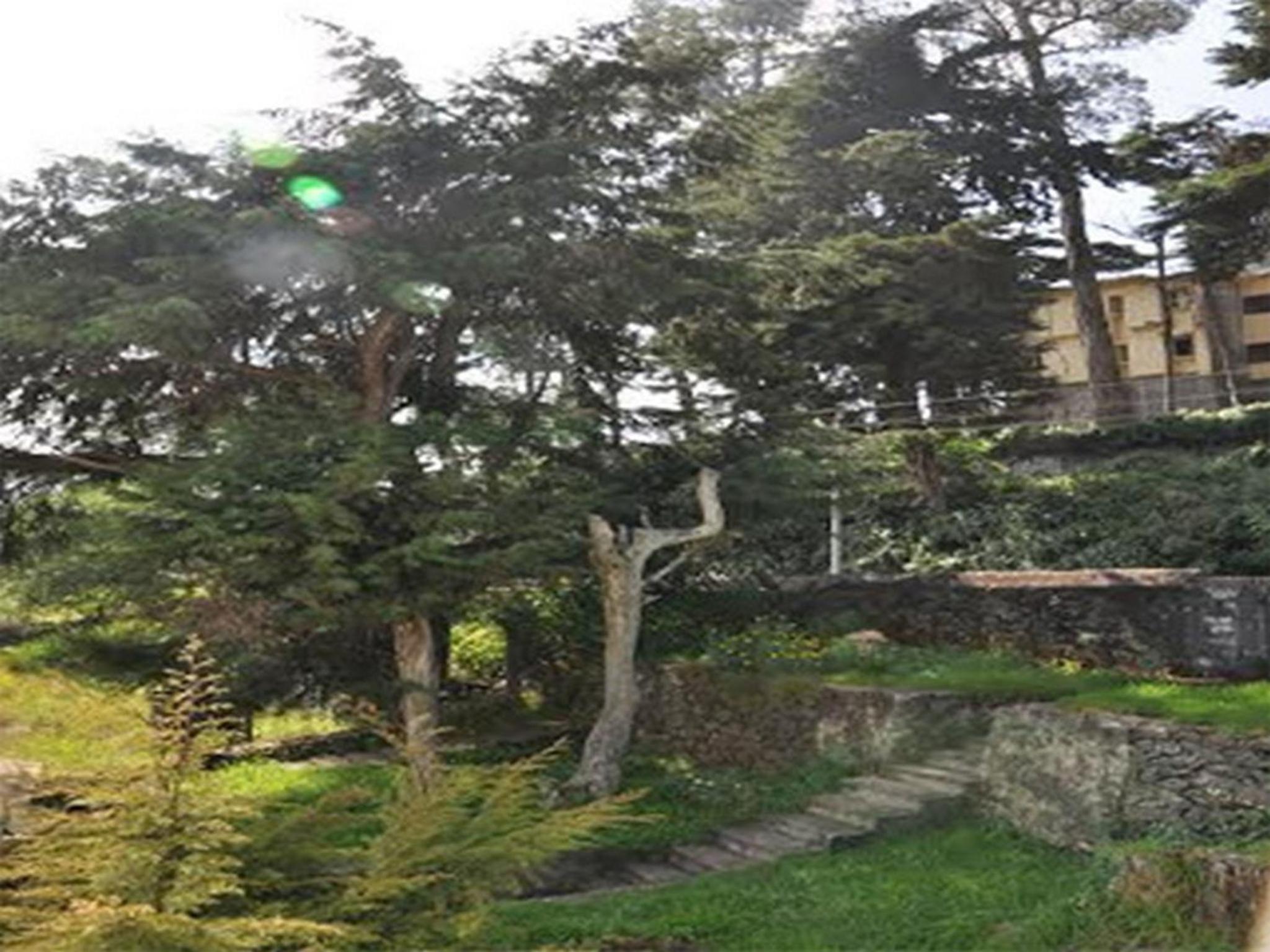 Hill Heaven Home Stay view 2