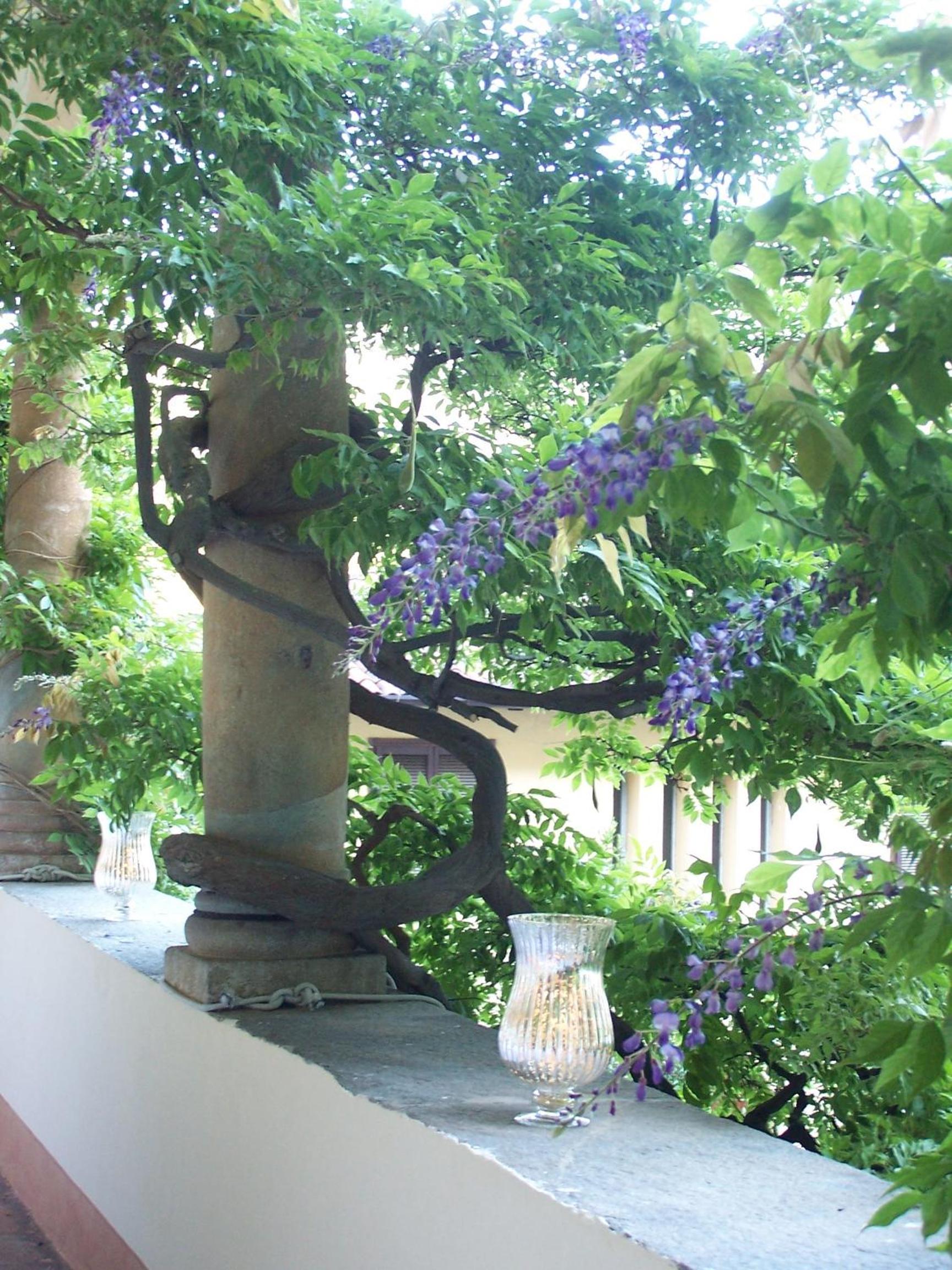 Palazzo Ronchelli