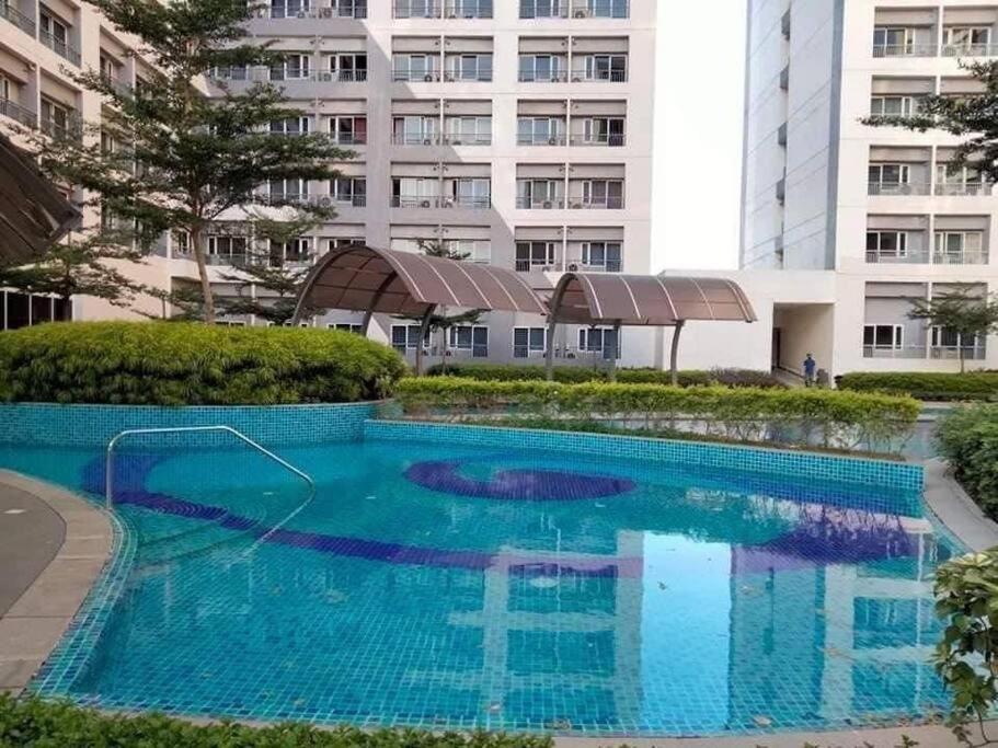 Photo 42