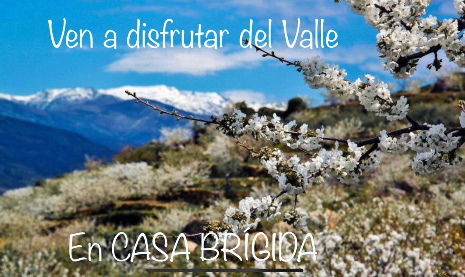 CASA BRIGIDA
