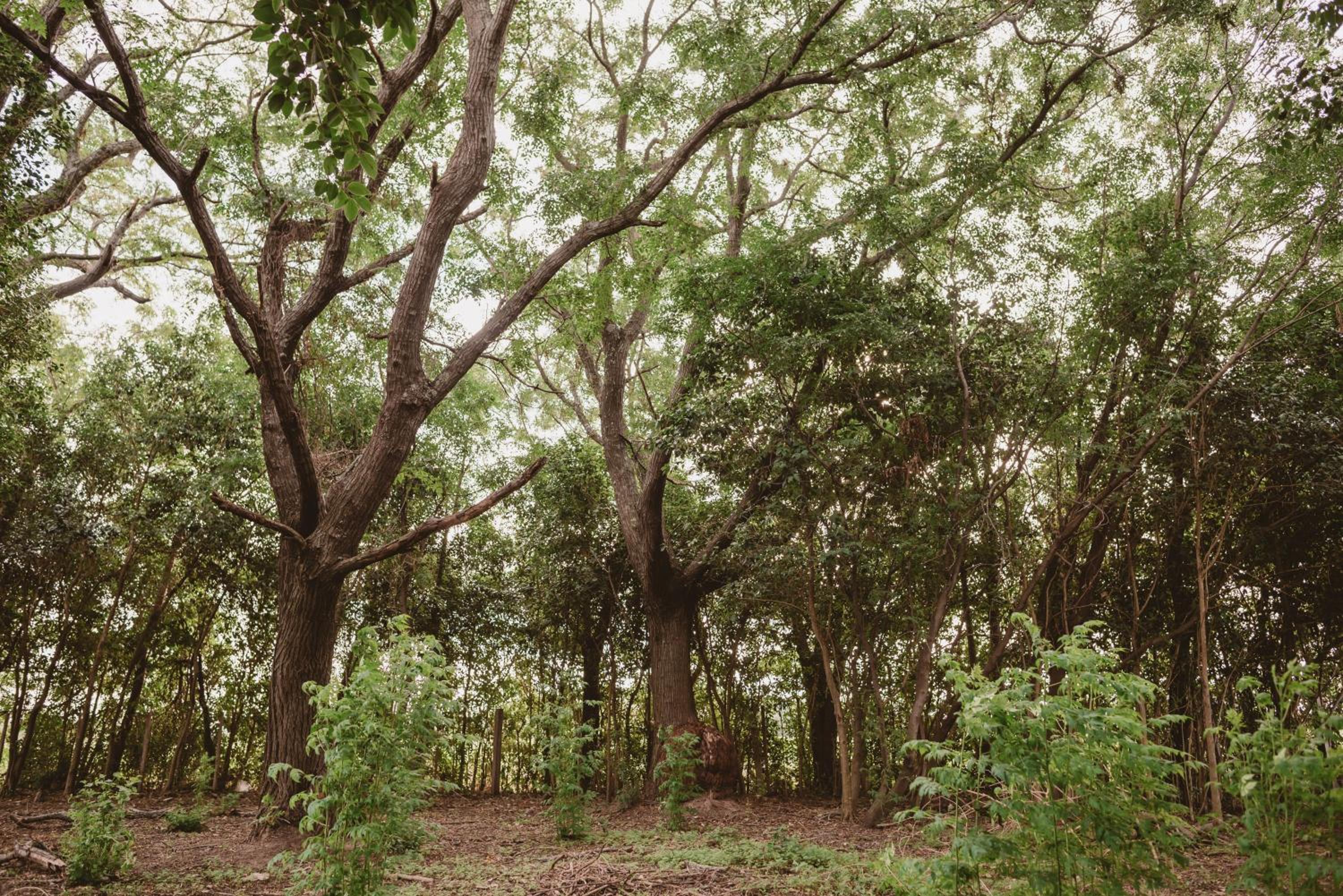 El Rincón - Casa de campo