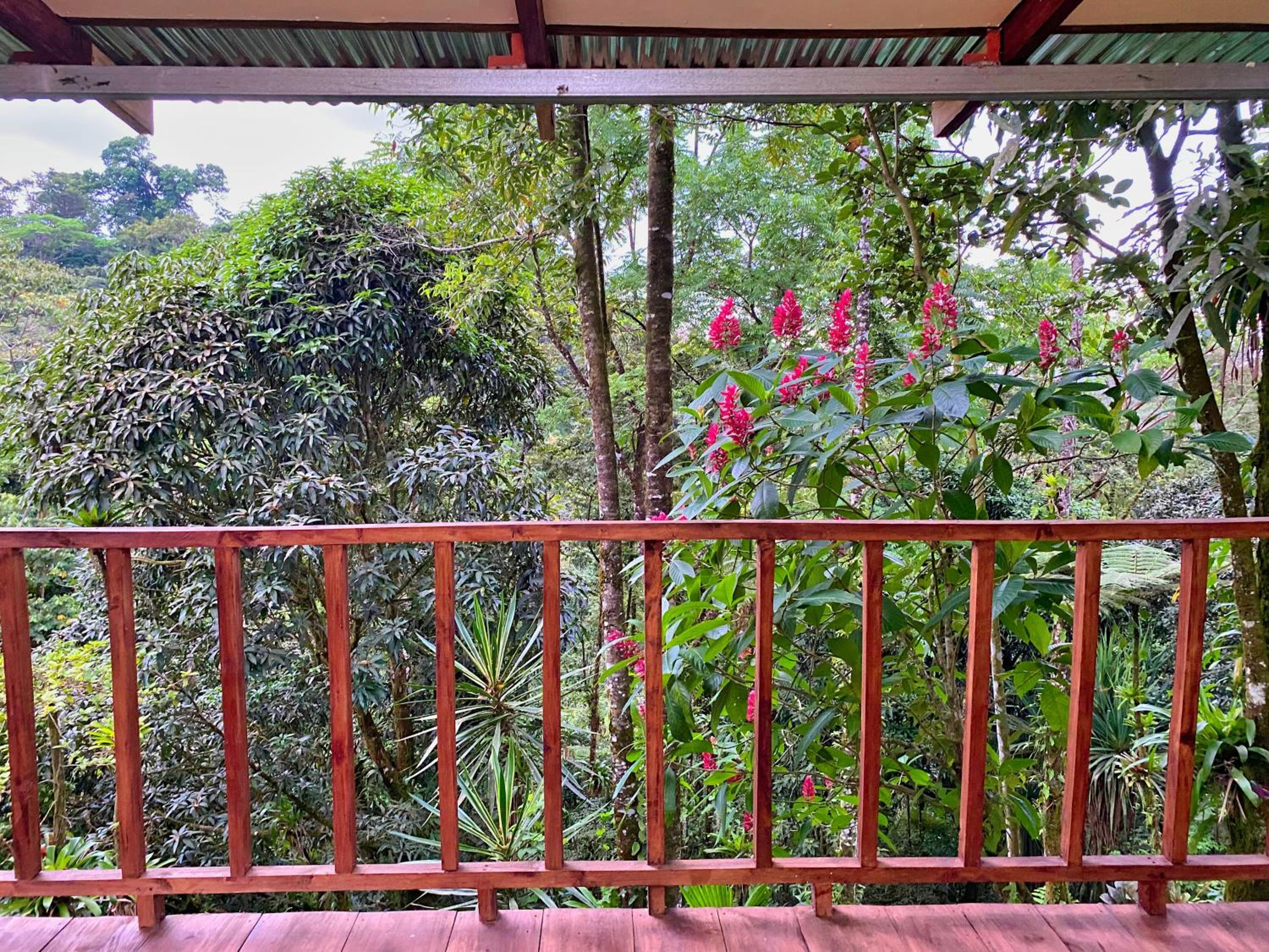 Princesa de la Luna EcoLodge 177