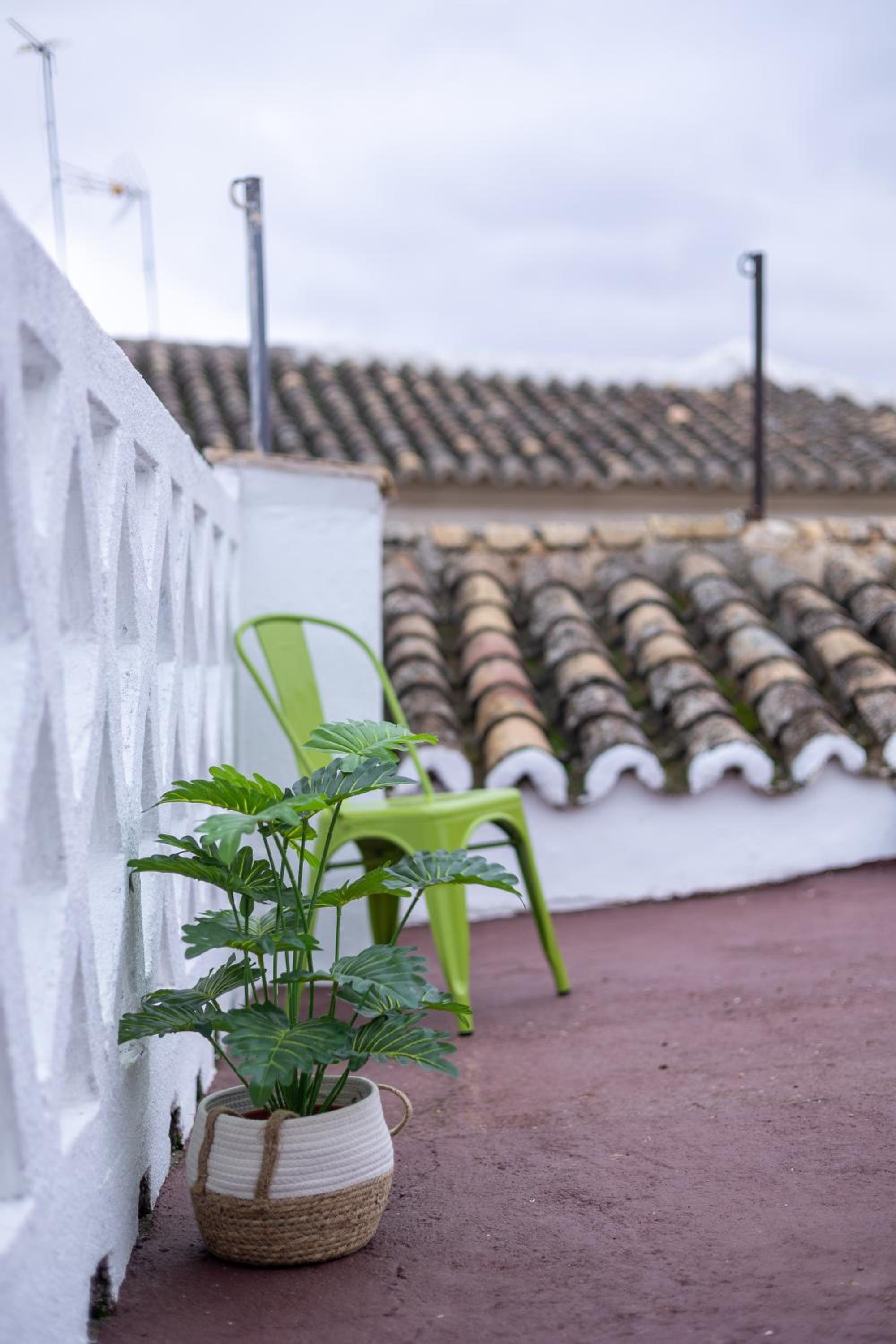 roof