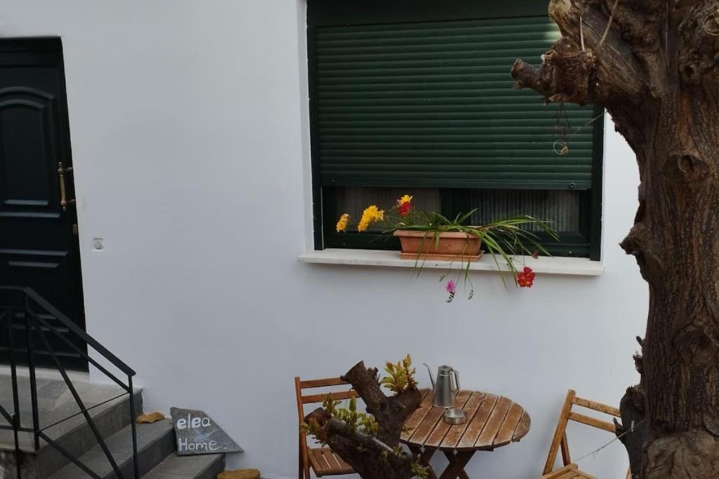 elea home apartments