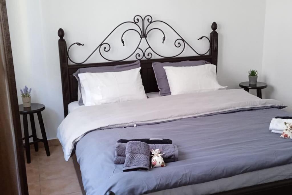 elea home apartments