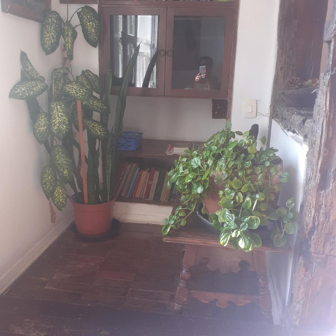 Photo 29