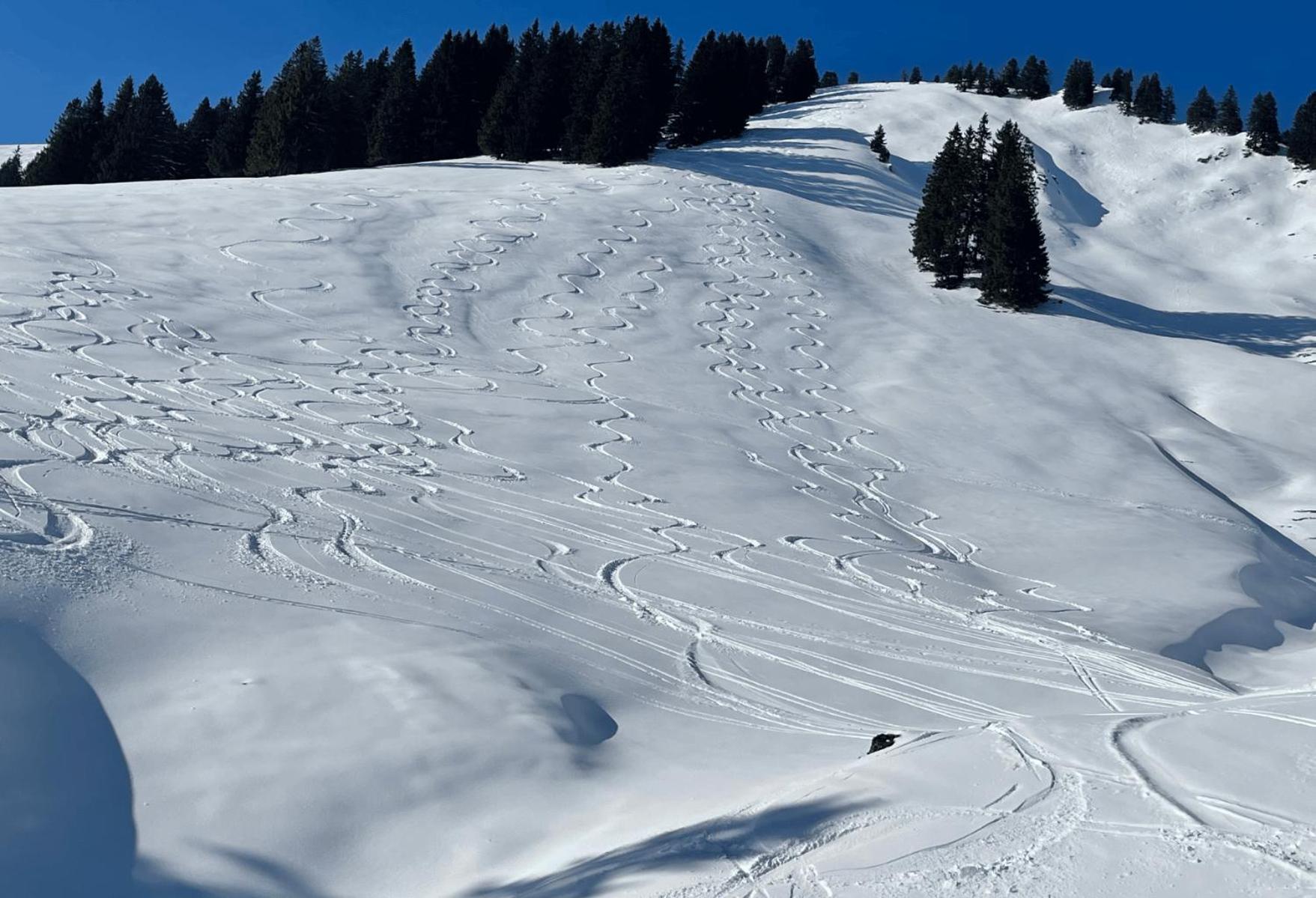 Angelas Ferienwohnungen Oberstaufen