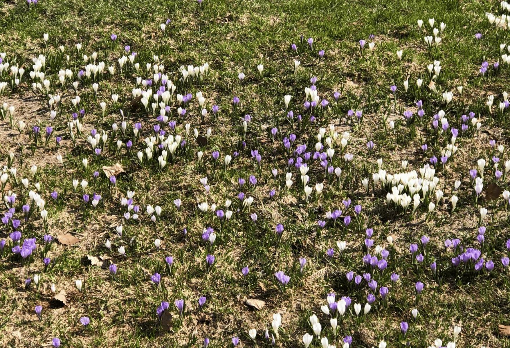 Angelas Ferienwohnungen Oberstaufen