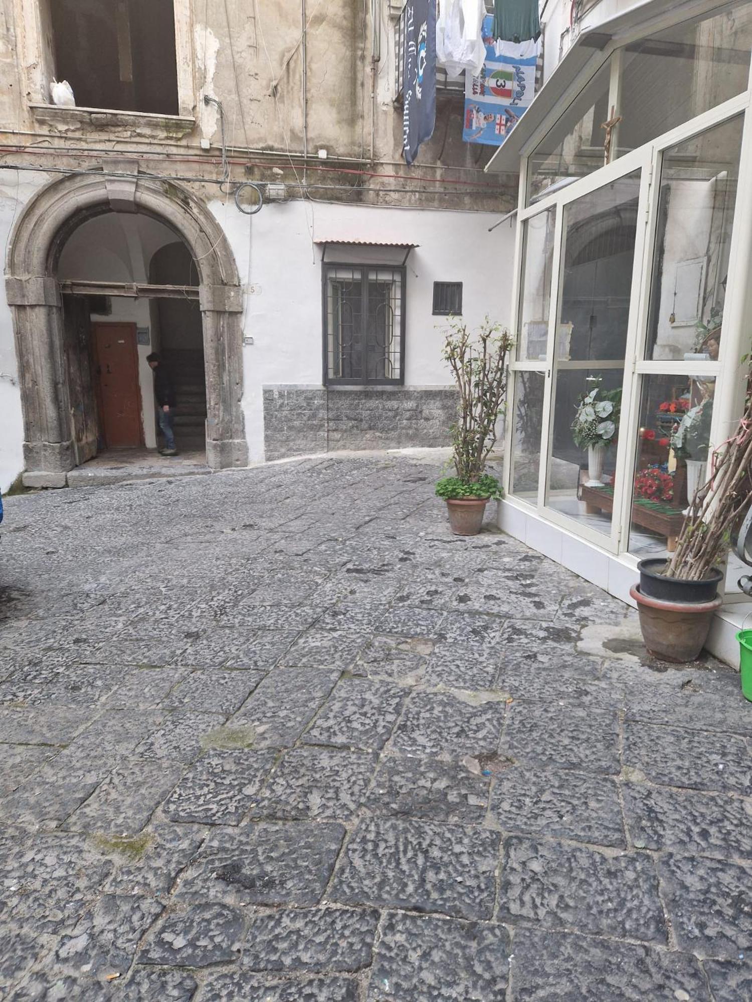 Caponapoli house