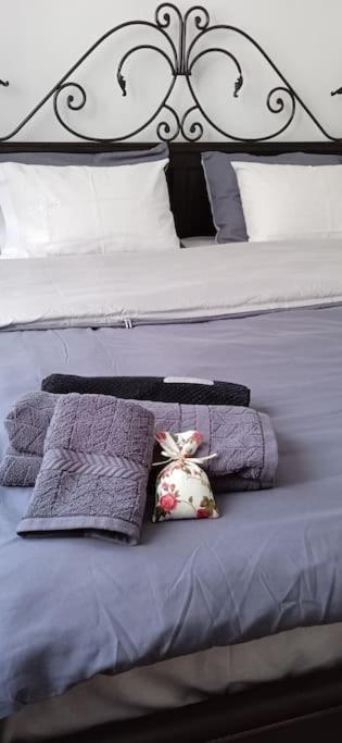 elea home apartments