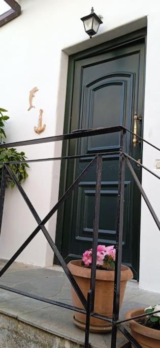 elea home apartments
