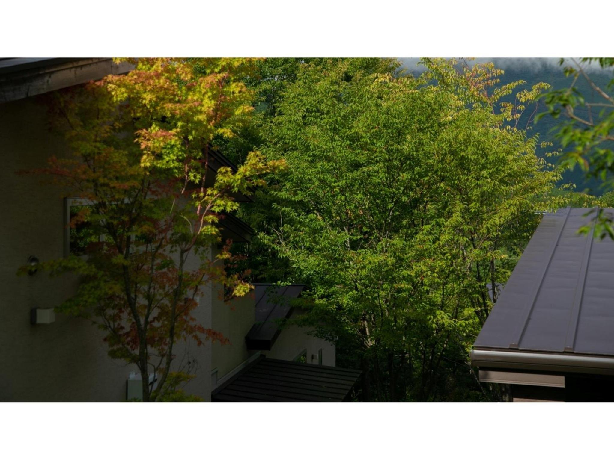 Innterhill Tsubasa Yufuin - Vacation STAY 94239v