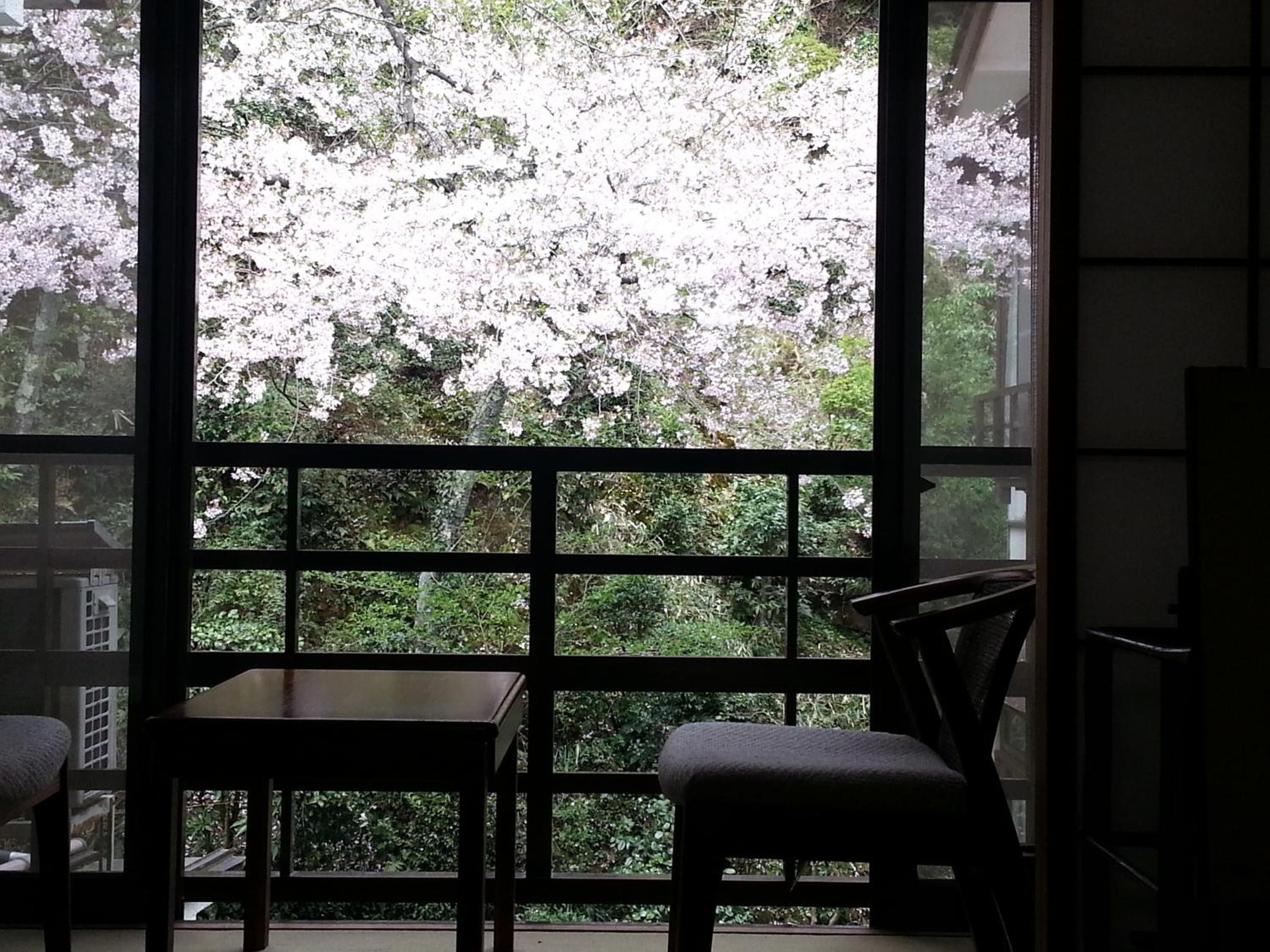 Tsukimotoya Ryokan