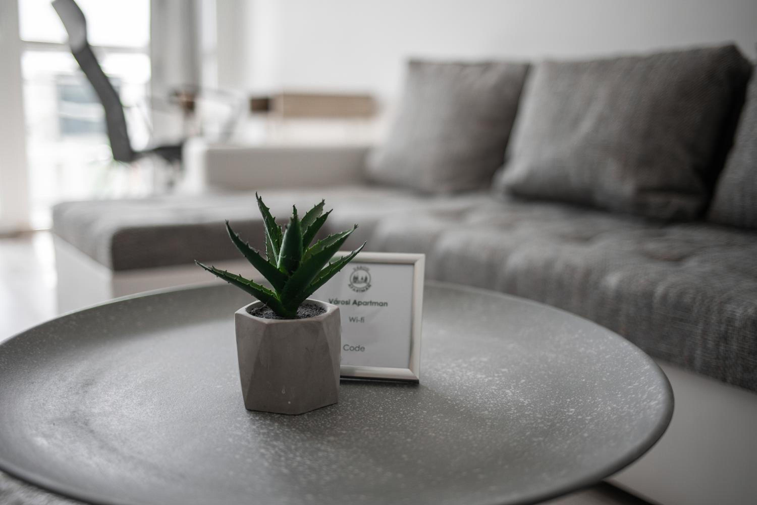 Városi Apartman