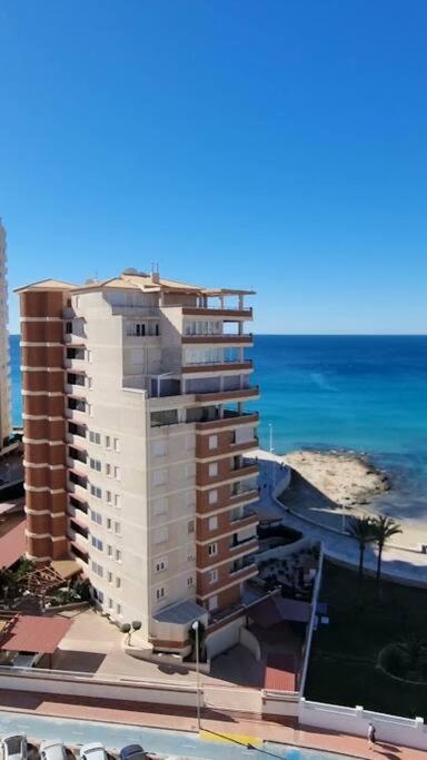 Atlantico Flamingo