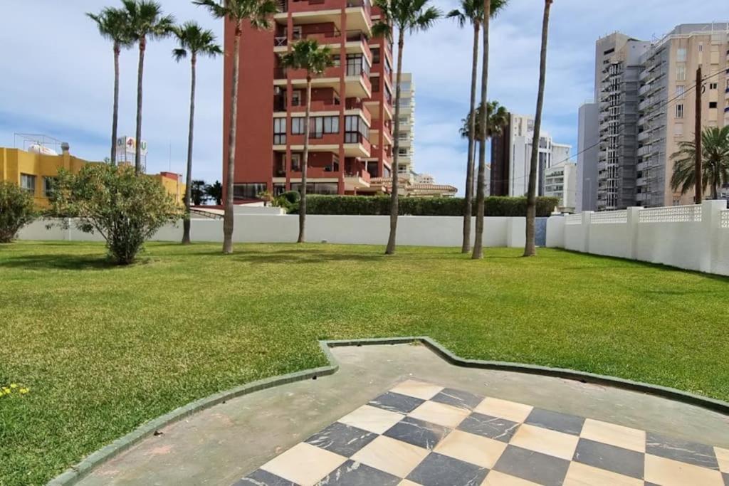 Atlantico Flamingo