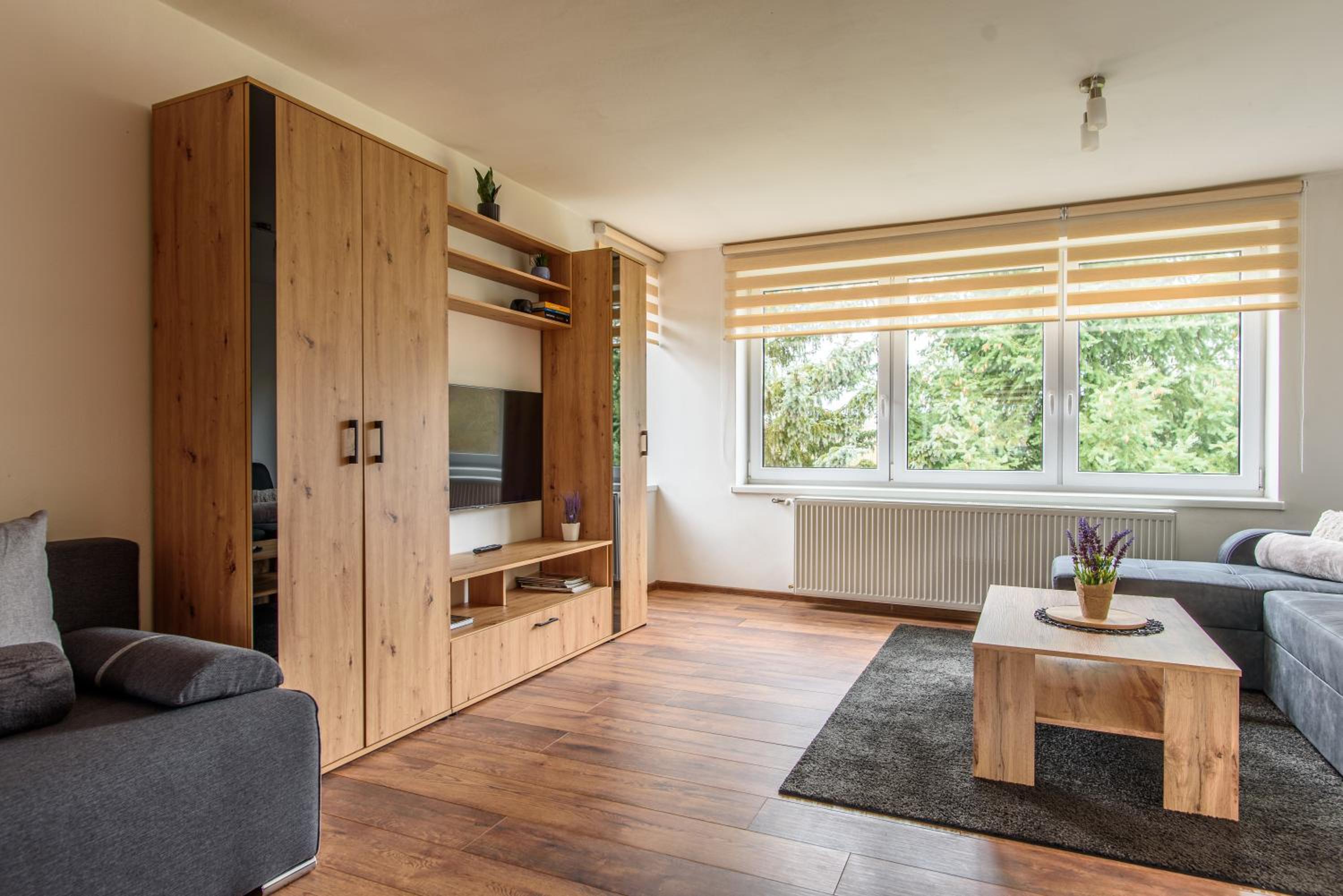 Apartmány Slavíkov - Superior Apartmán