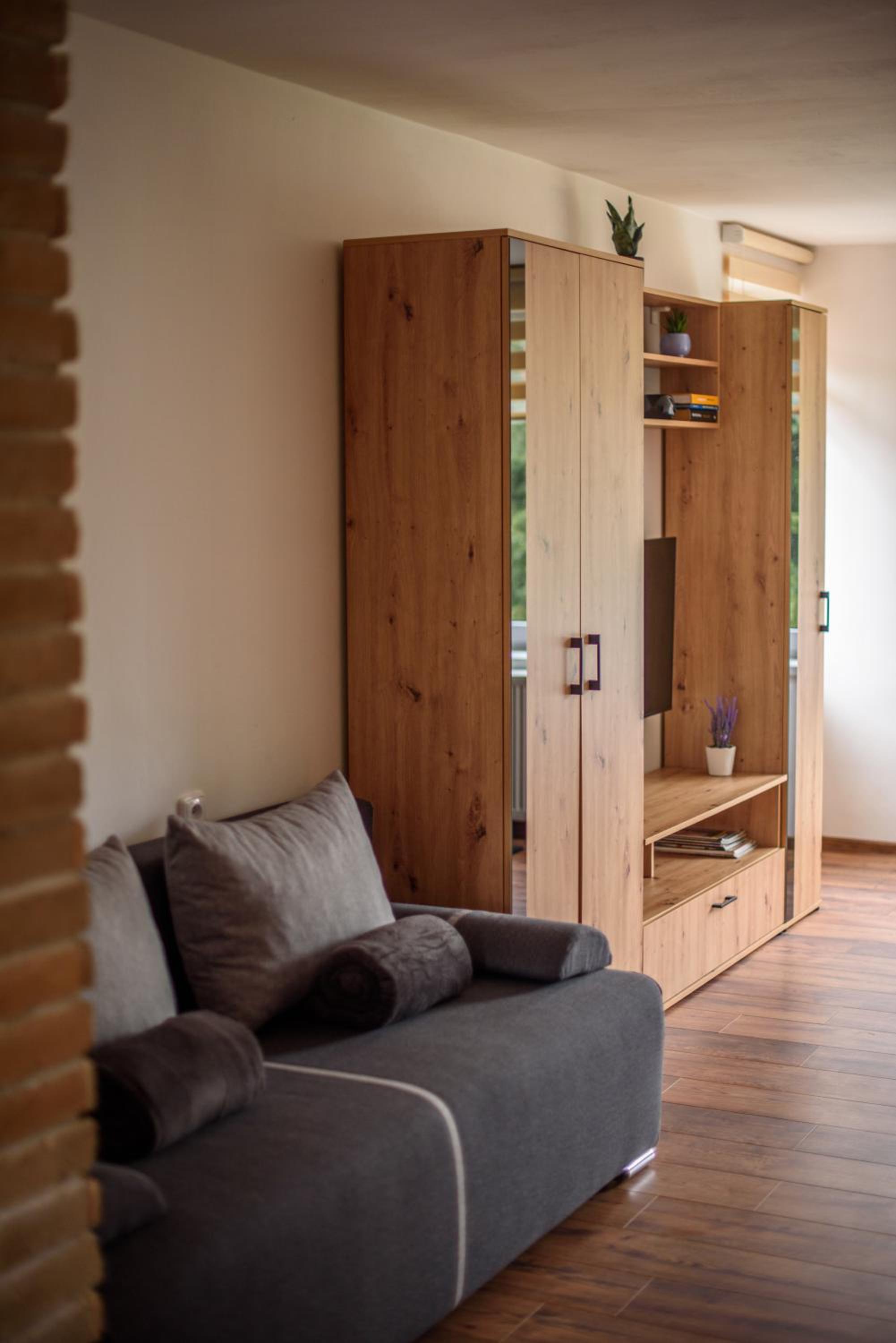 Apartmány Slavíkov - Superior Apartmán
