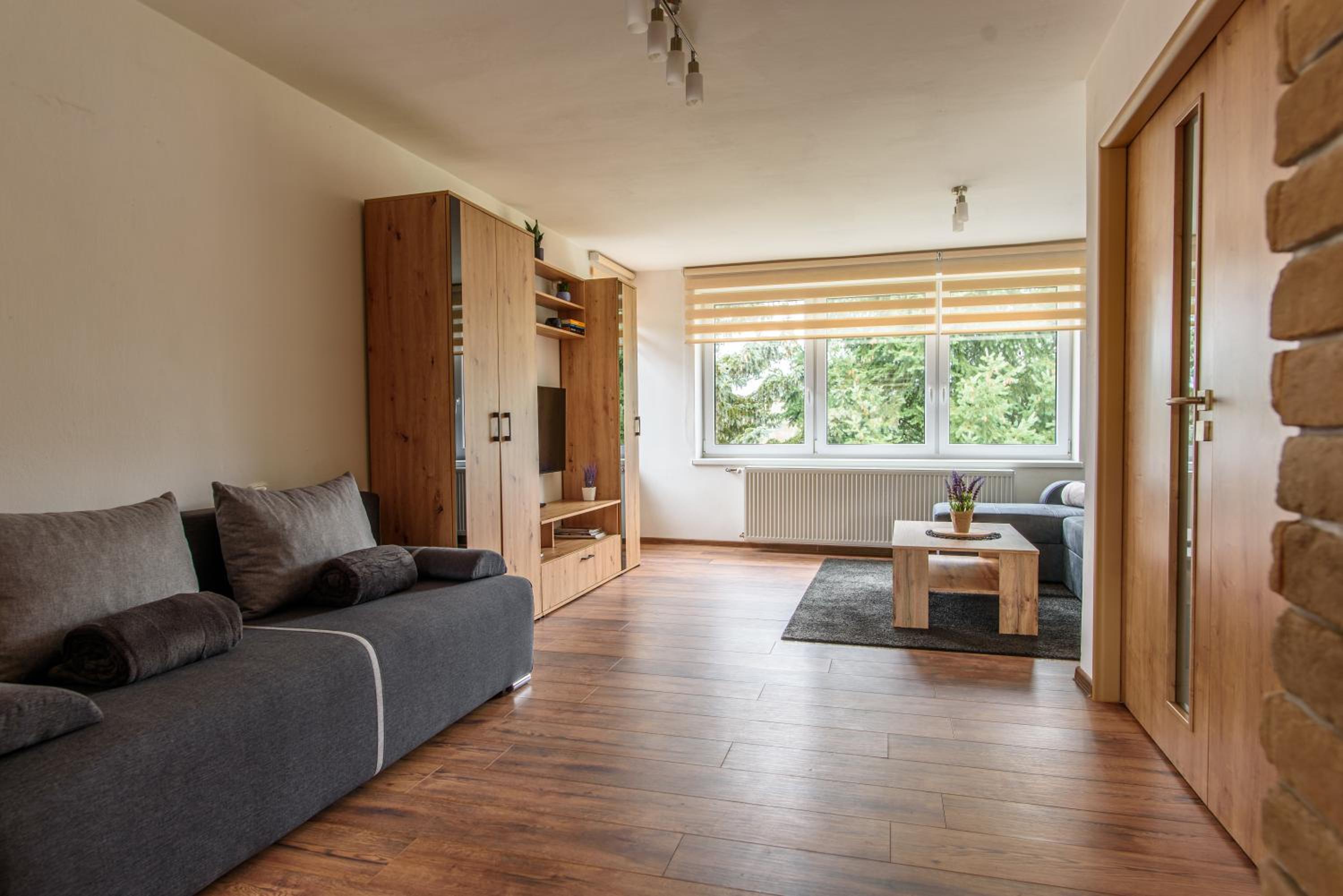 Apartmány Slavíkov - Superior Apartmán