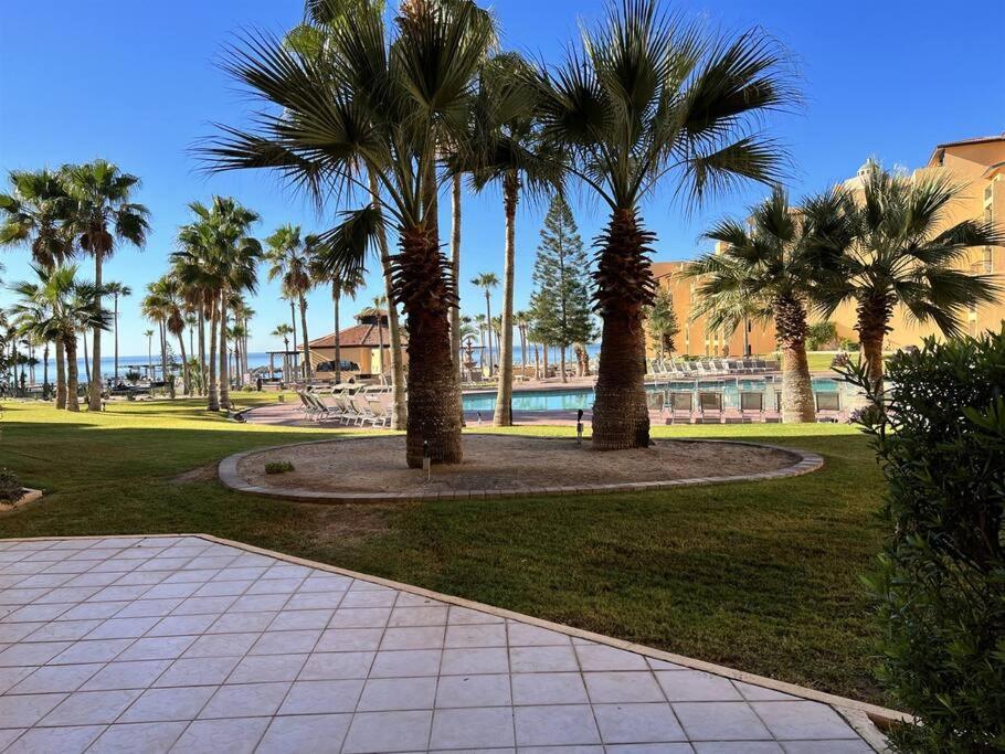 Sandy Beach Princesa D101 Ocean Front Resort