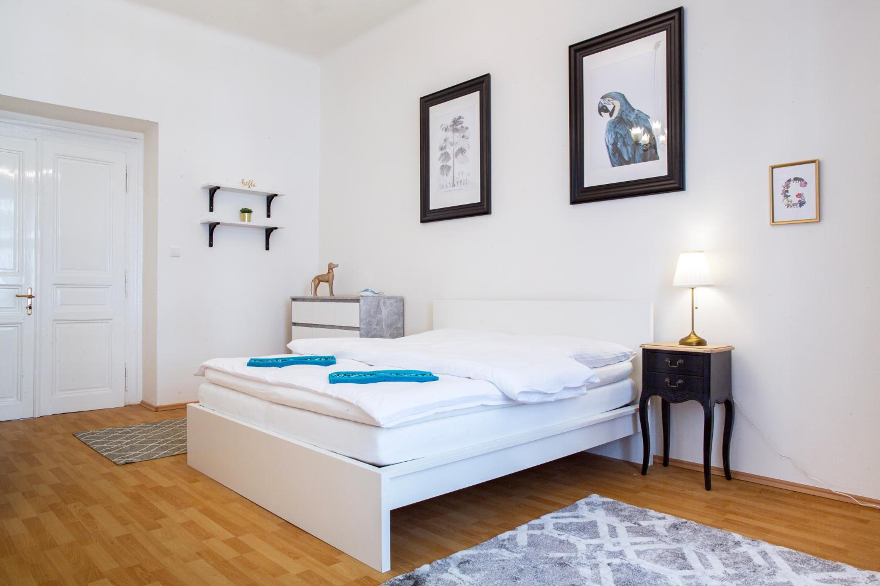 Large 3 BDR APT in the heart of Prague