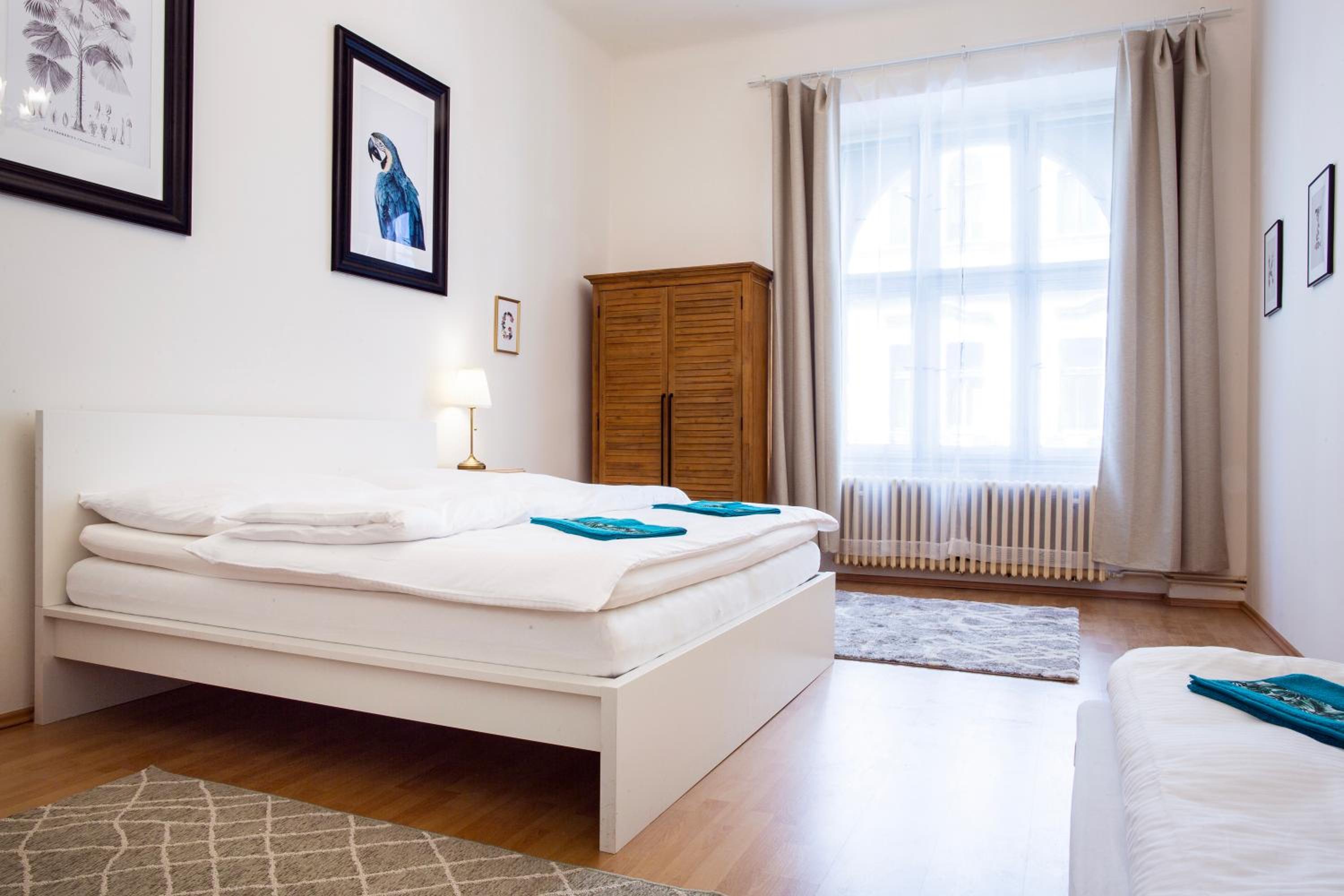 Large 3 BDR APT in the heart of Prague