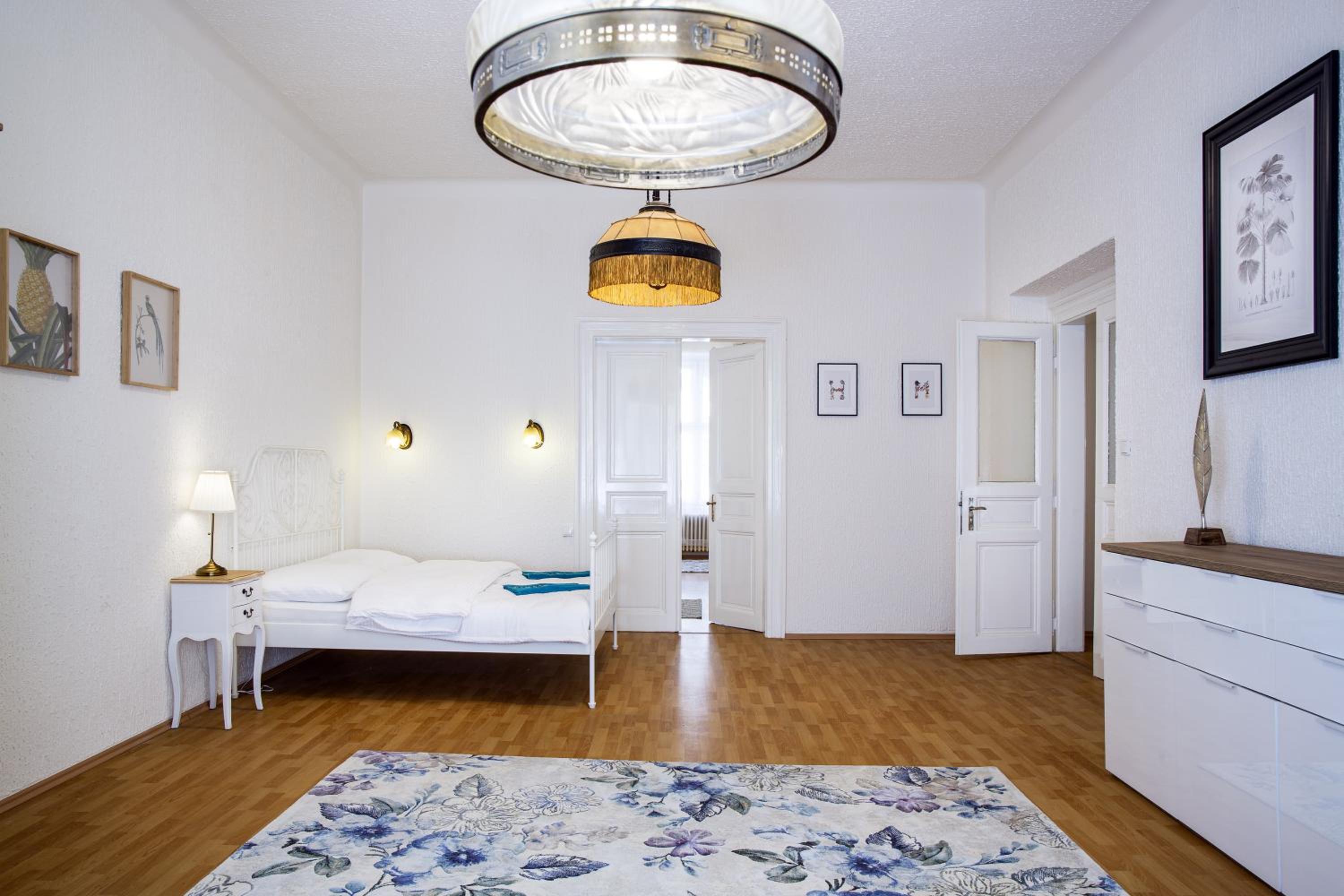 Large 3 BDR APT in the heart of Prague