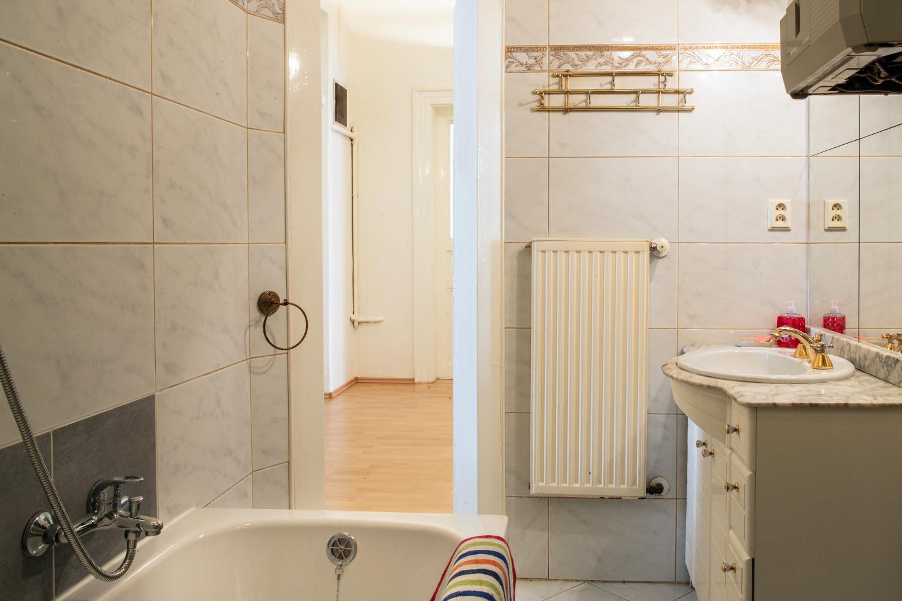 Large 3 BDR APT in the heart of Prague