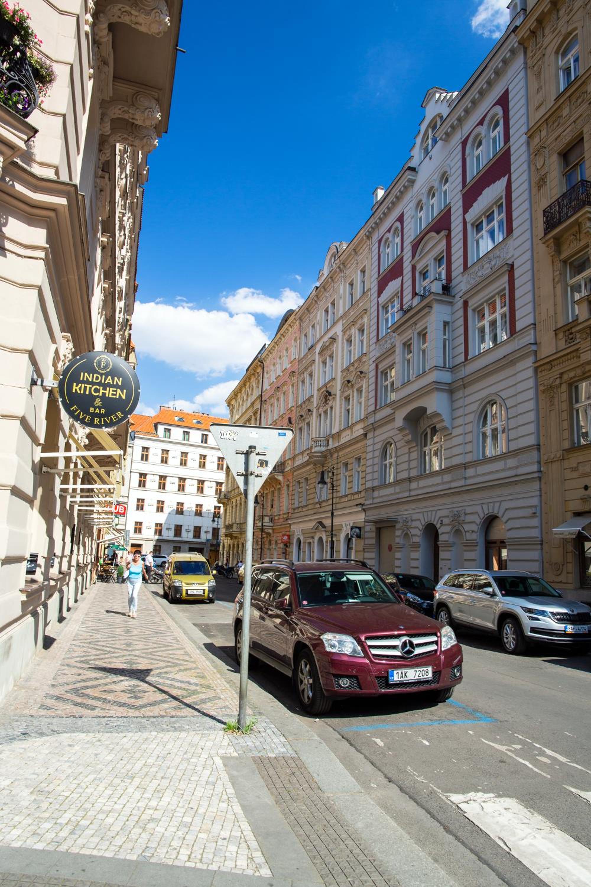 Large 3 BDR APT in the heart of Prague