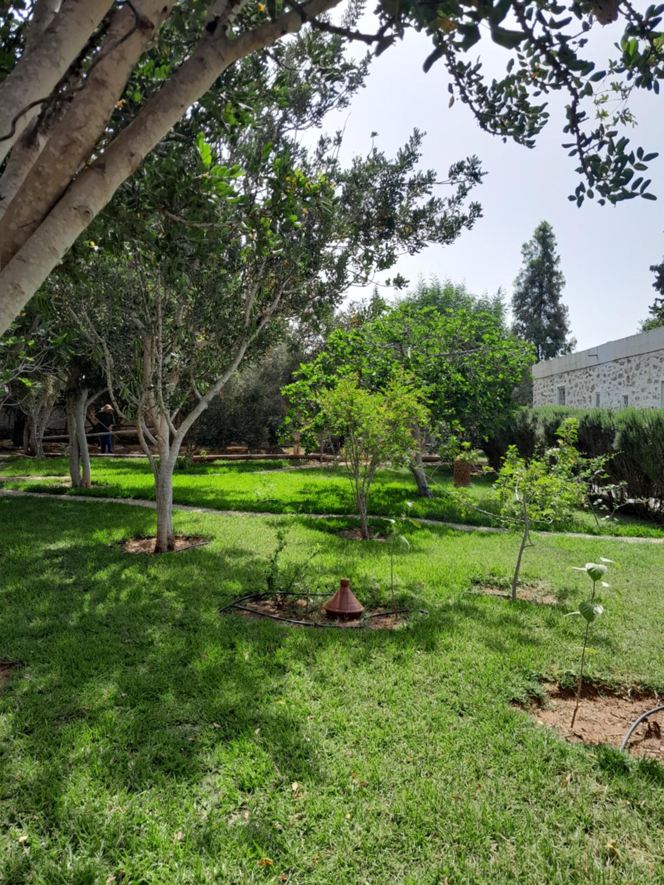 Photo 8