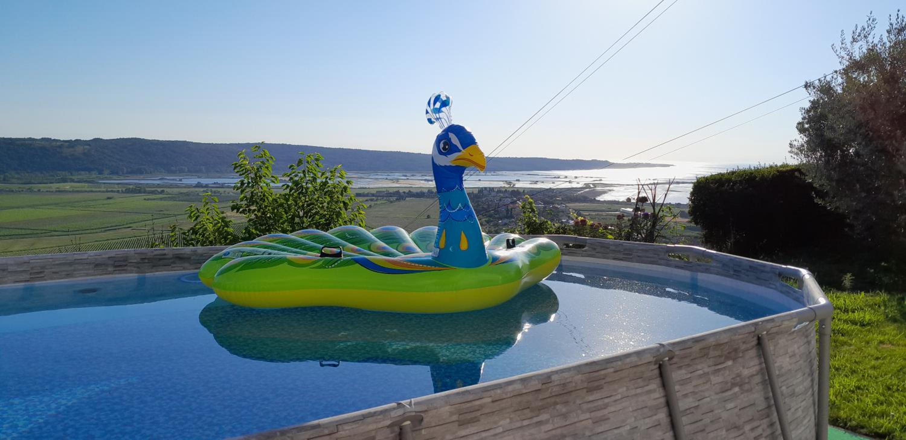 Apartments Milok view 4