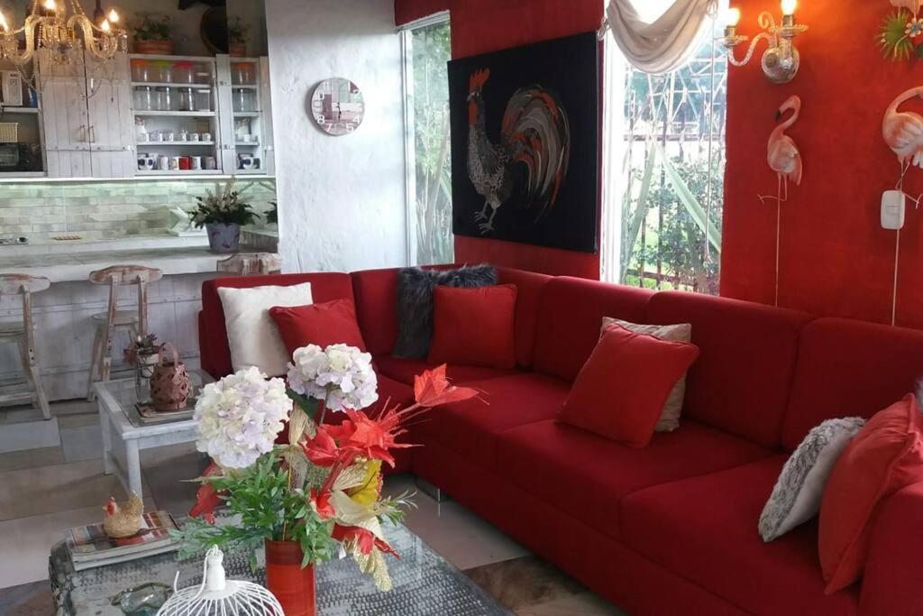 Suite Campestre Flamingo Paipa Boyaca