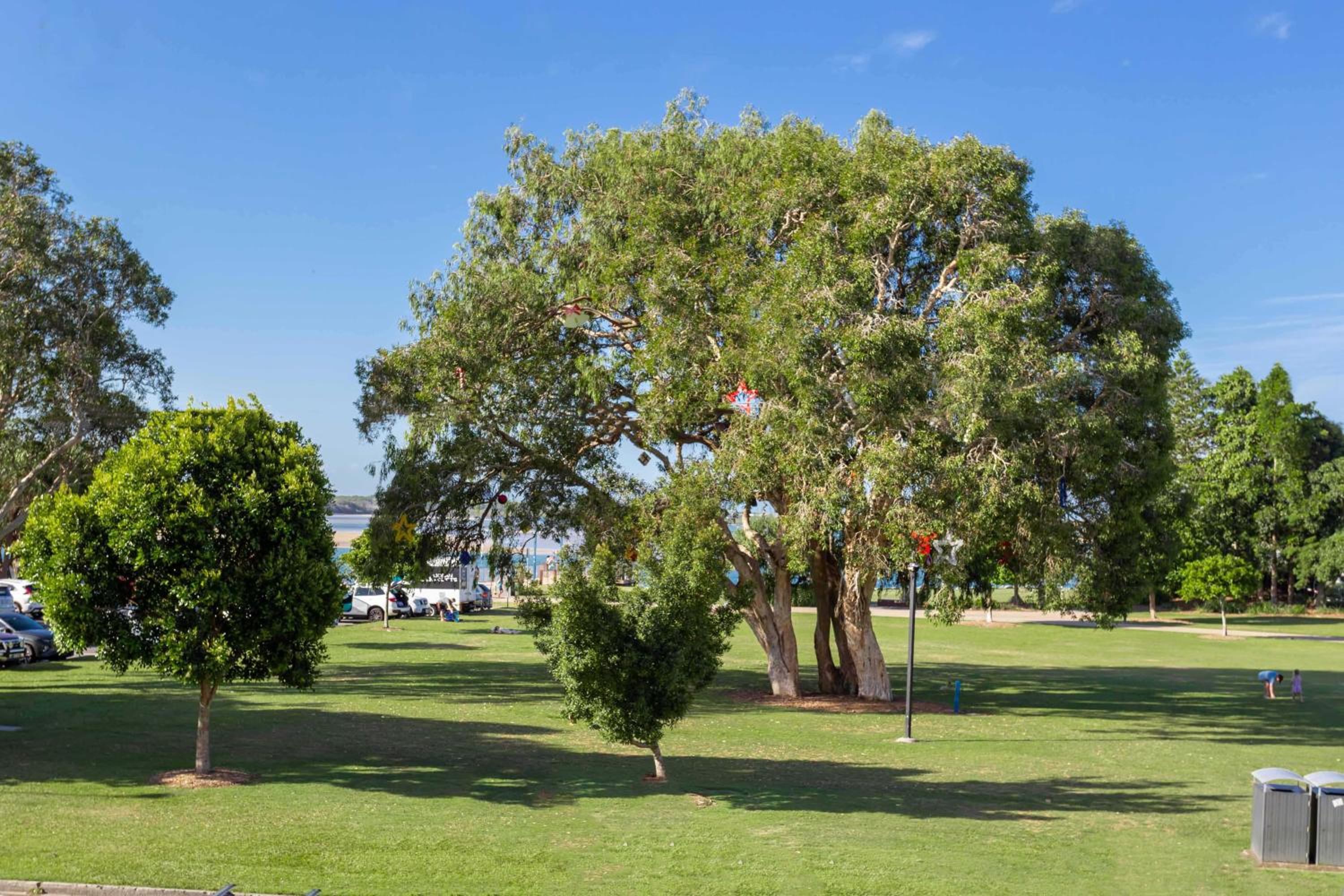 Cotton Tree Beach