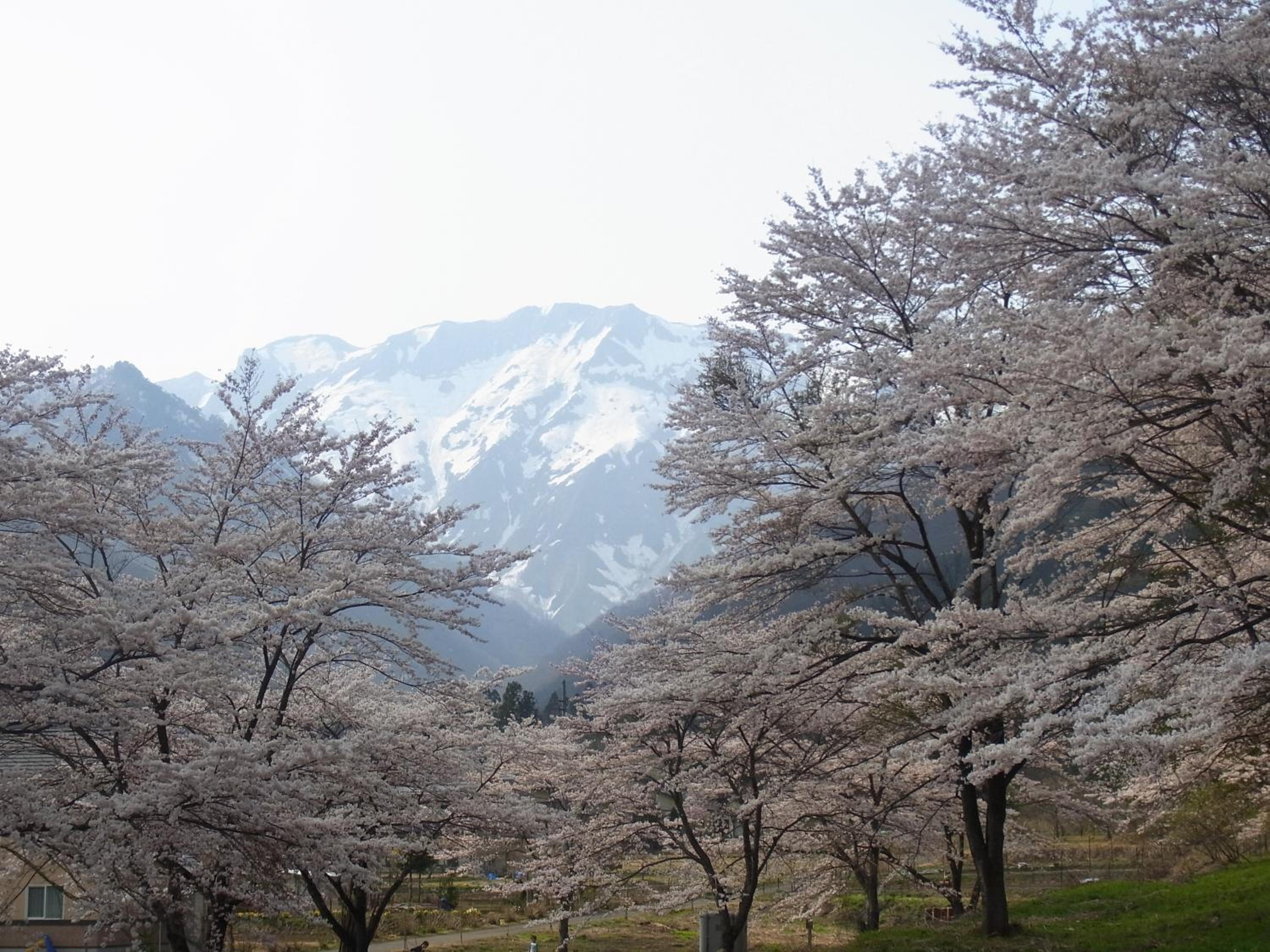Ryokan Tanigawa