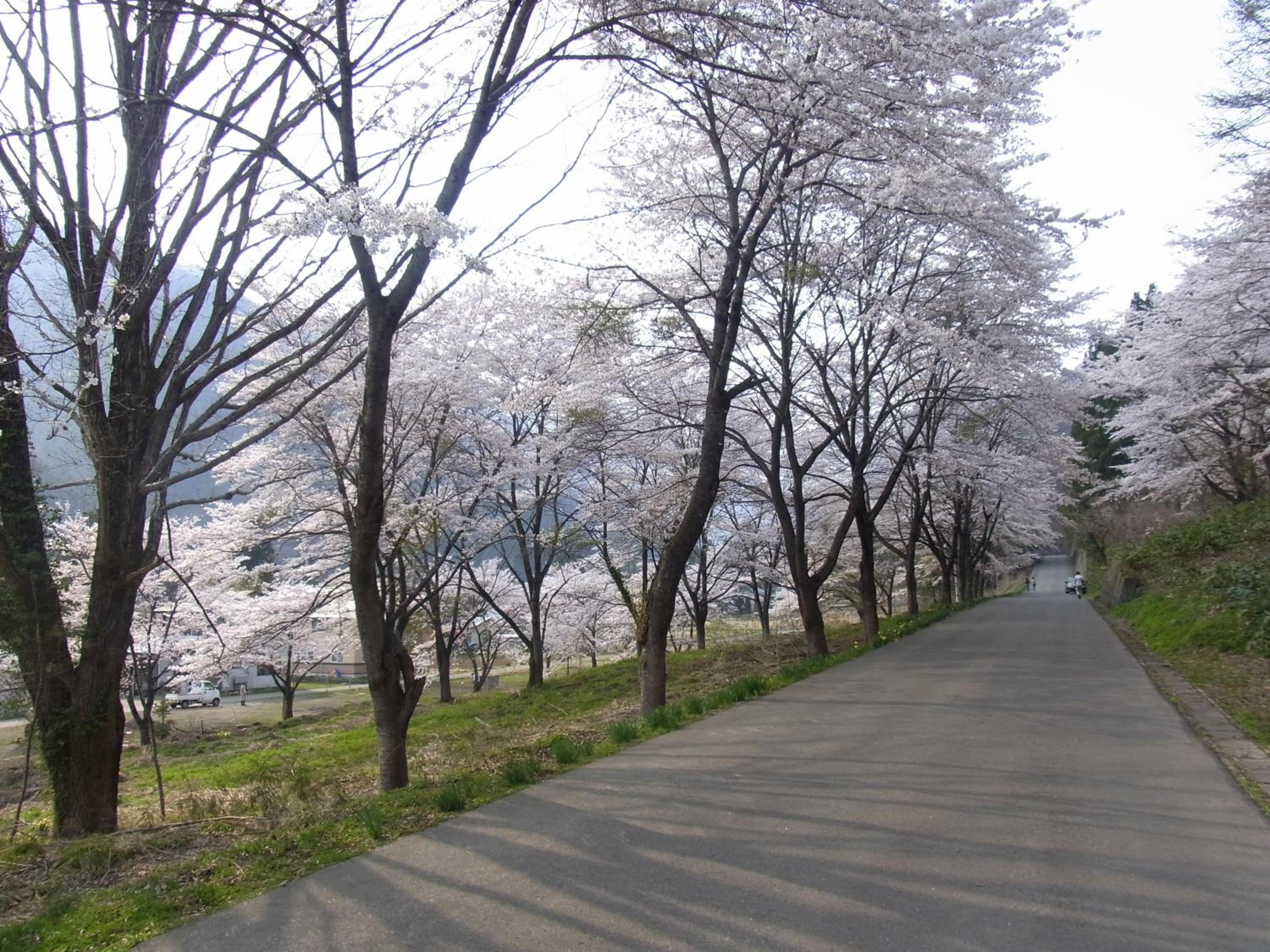 Ryokan Tanigawa
