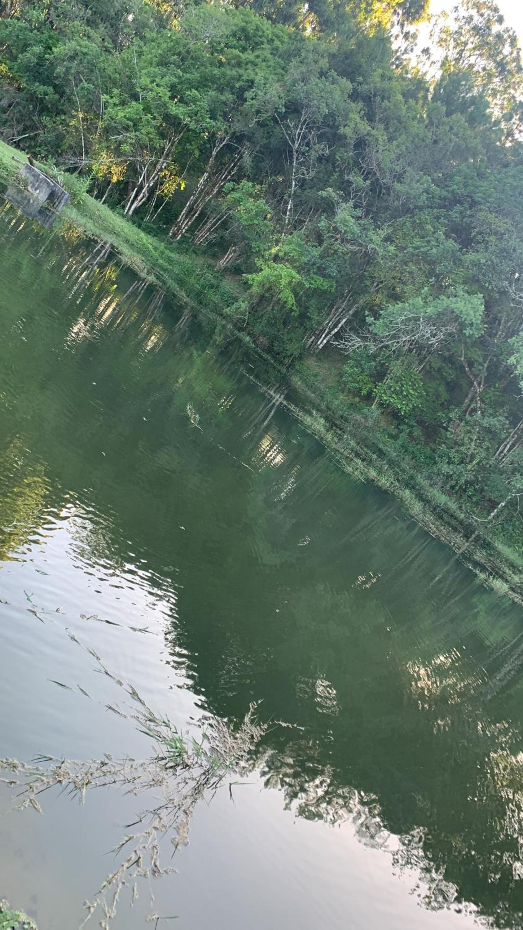 Casa de Campo #Rancho pela saco