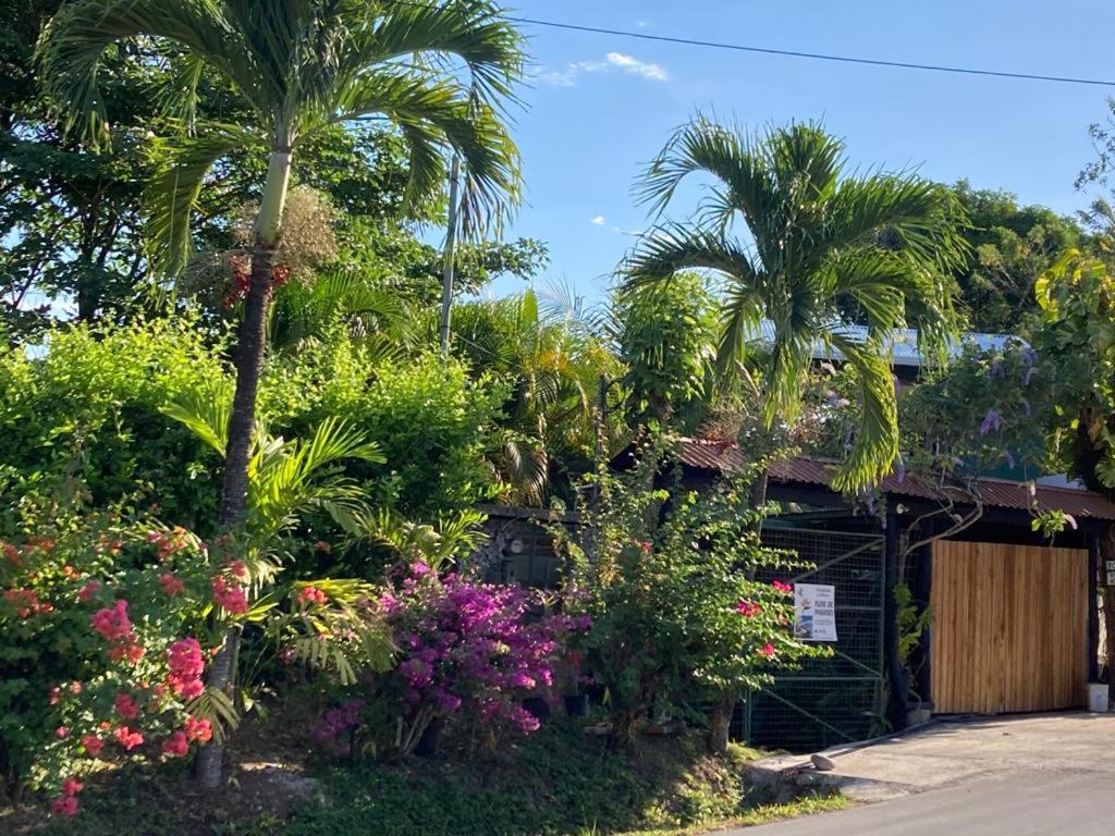 FLOR DE PARAISO BUNGALOWS
