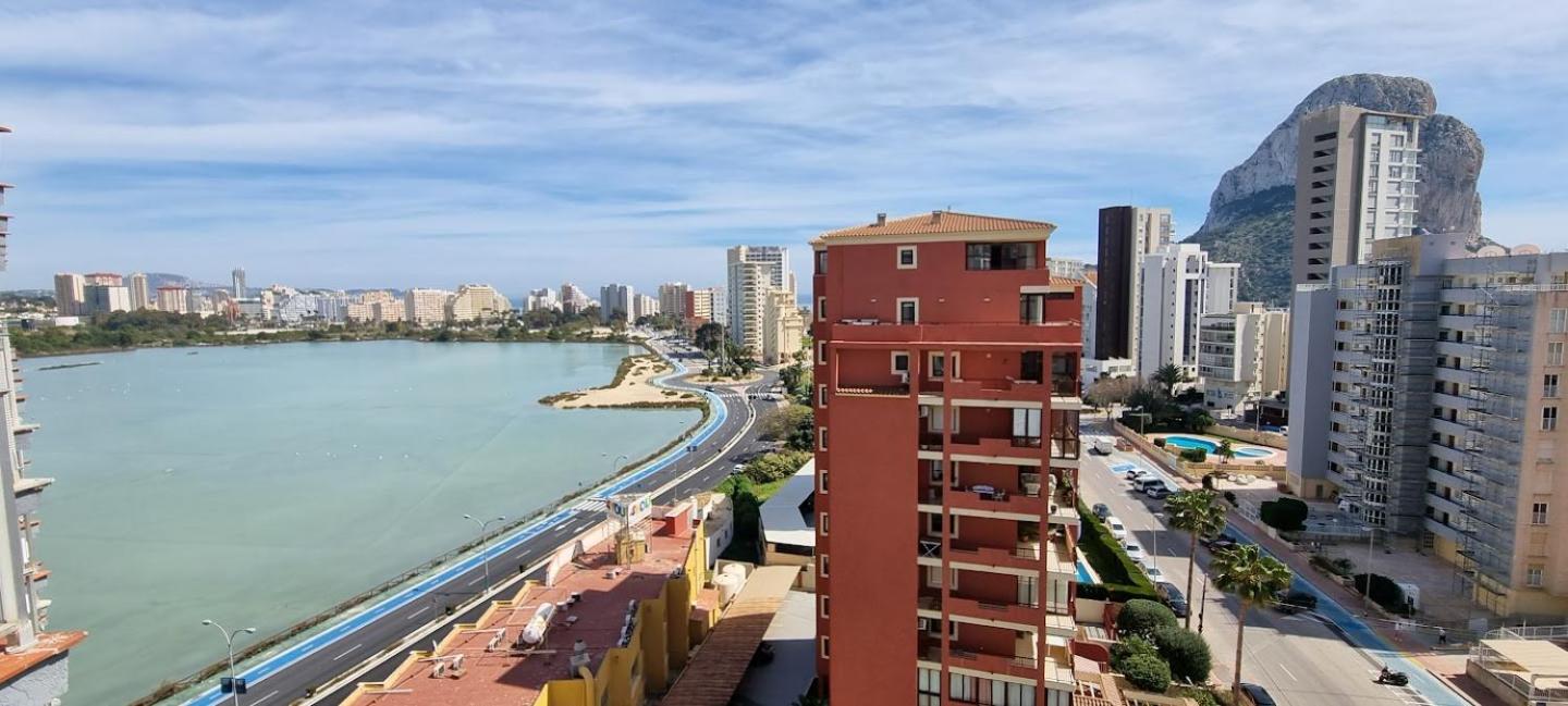 Atlantico Flamingo