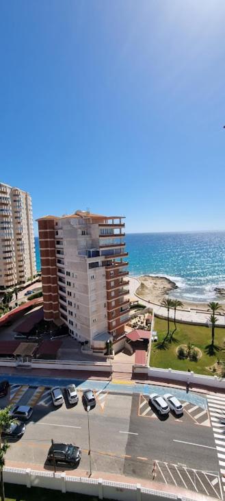 Atlantico Flamingo