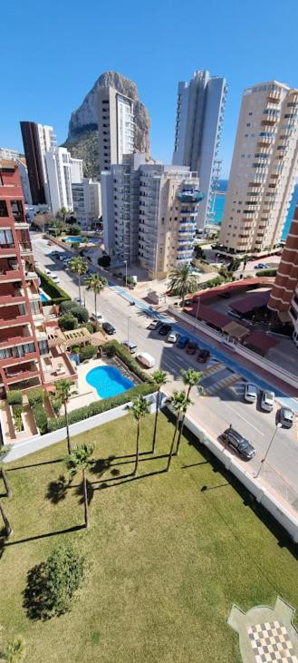 Atlantico Flamingo