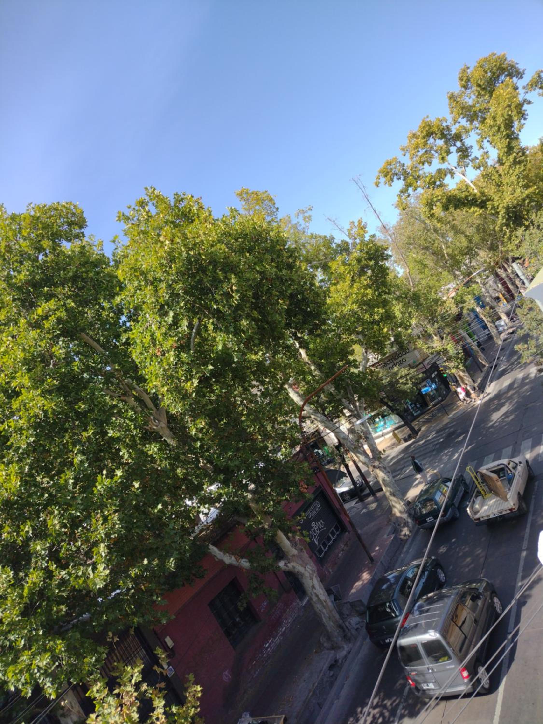 Unique Aparment Mendoza